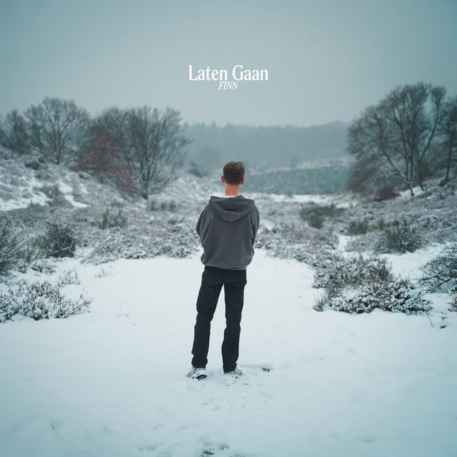 Cover van Laten Gaan van FINN